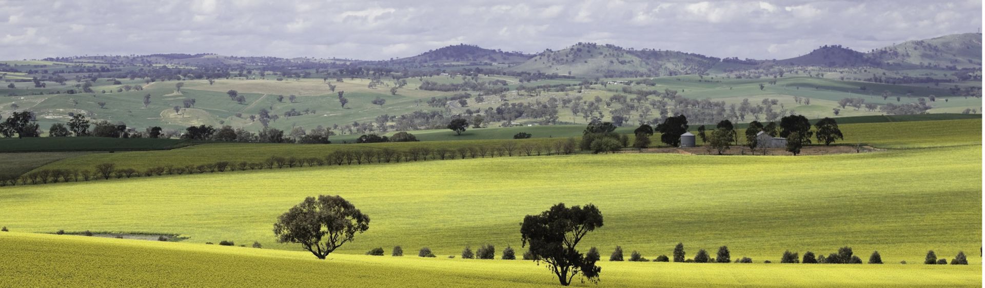 Harden and Murrumburrah Attractions & Events