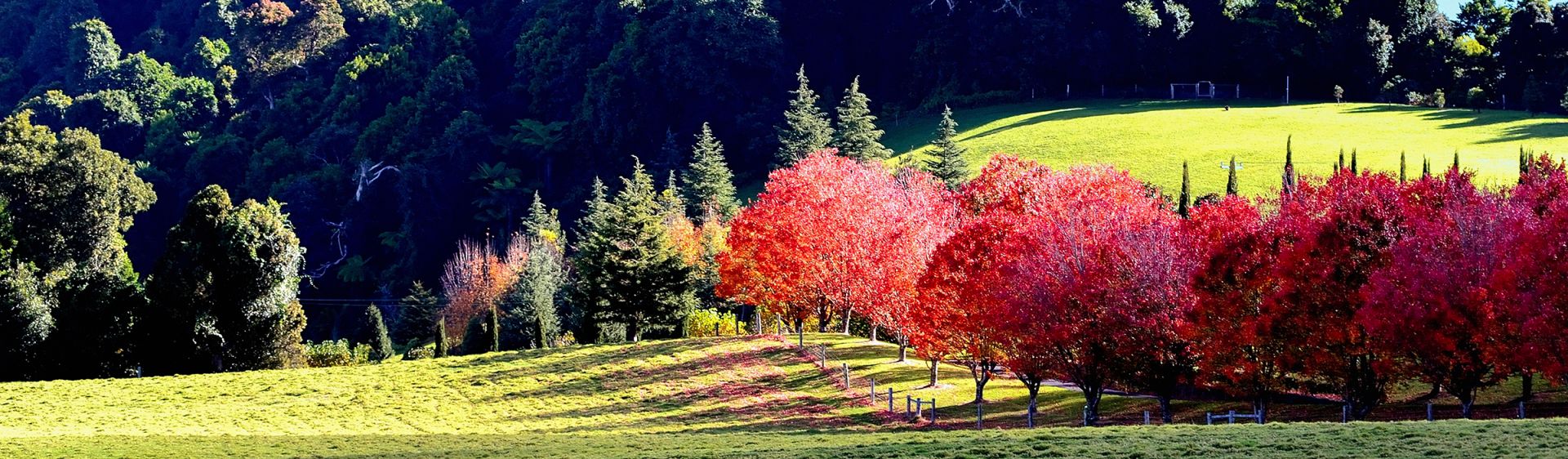 Kangaroo Valley NSW Plan a Holiday Hotels, Beaches & more