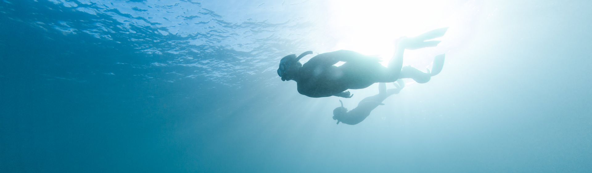 Shellharbour Area - Accommodation, Attractions & Events