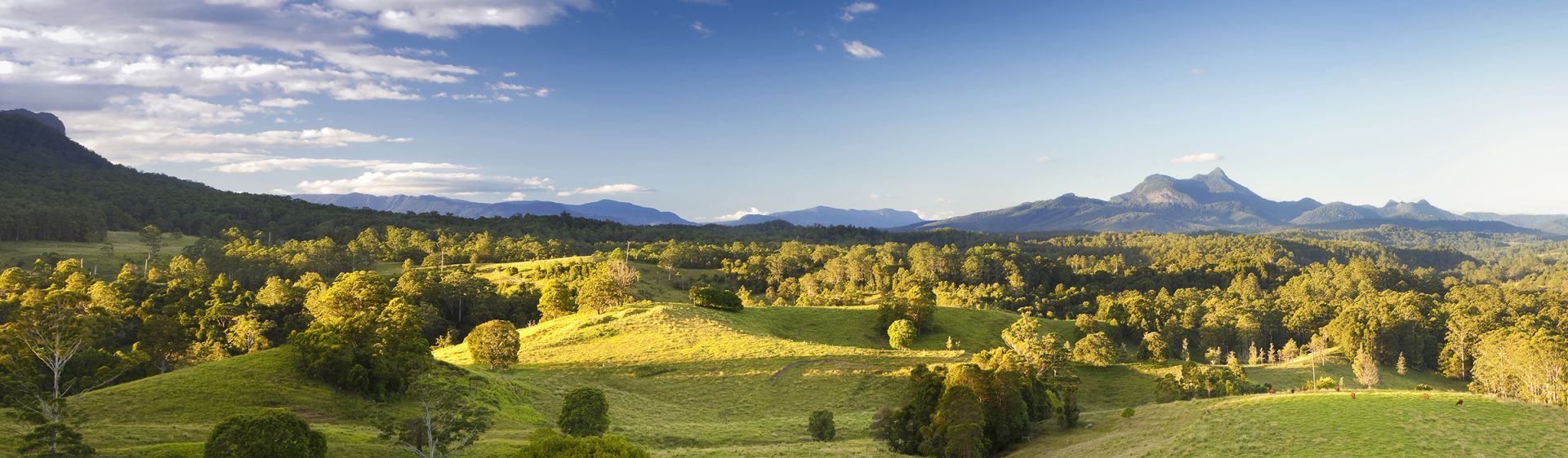 Murwillumbah NSW Plan a Holiday Maps, Hotels & Caravan Parks