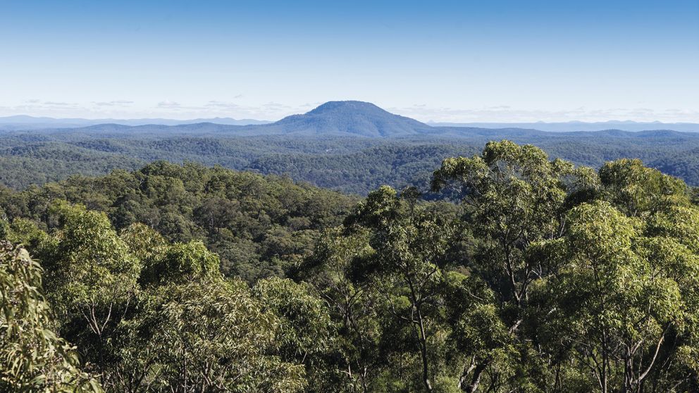 View from from Finchley Trig Lookout in Yengo National Park