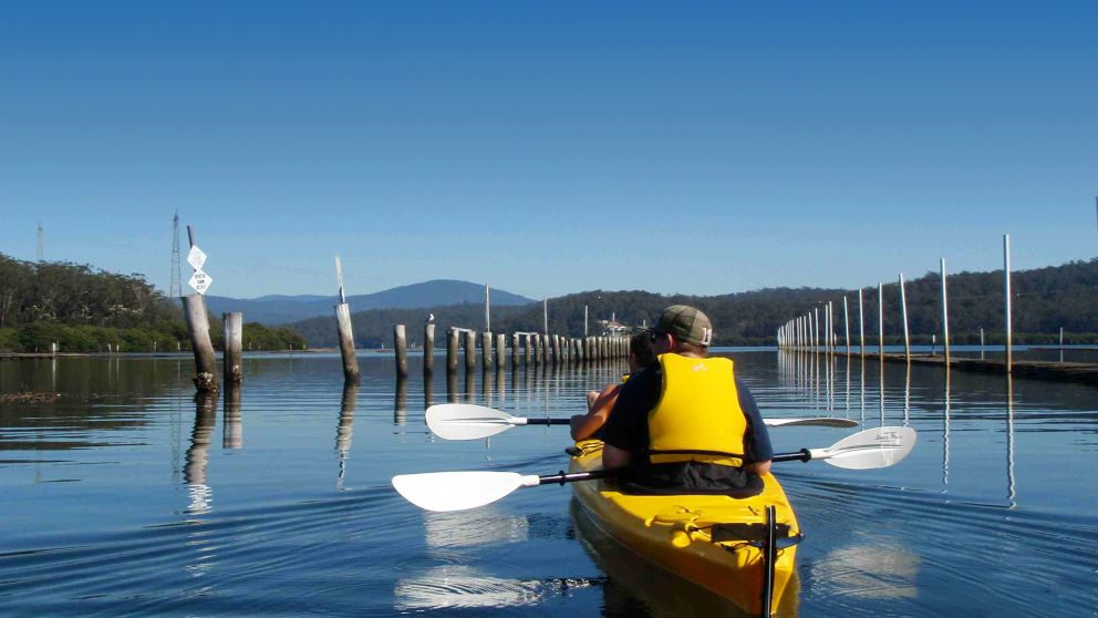 Oyster Tasting Kayak Tour, Eurobodalla NSW