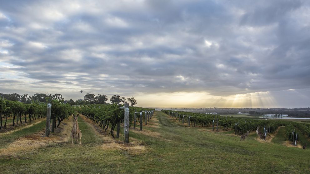 The Hunter, NSW | Find Wineries, Accommodation & Events