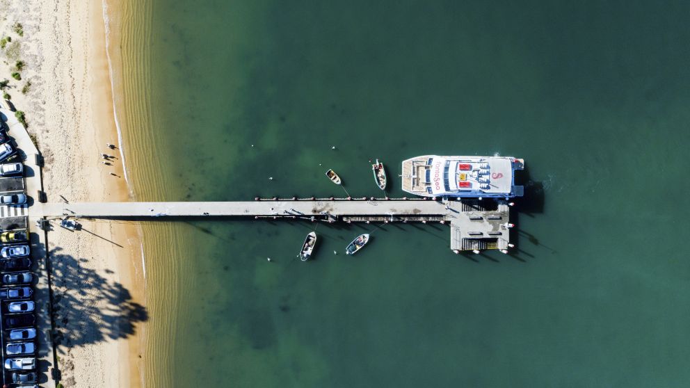 Gosford Area NSW Food & Things to Do