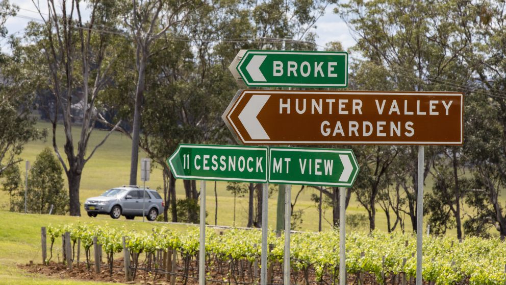 Car passing a local vineyard in the Hunter Valley