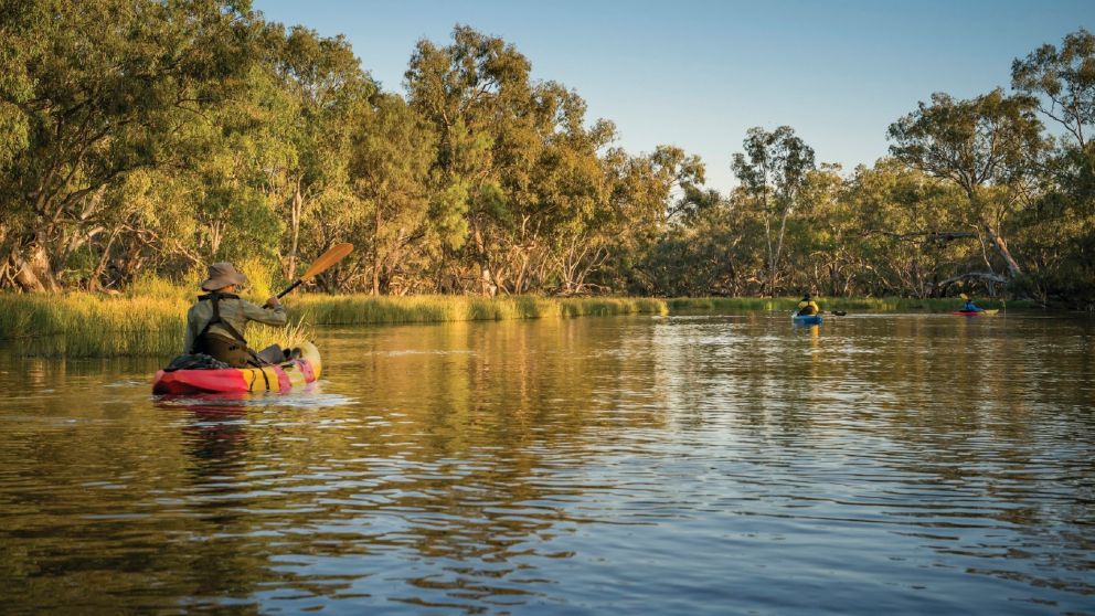 Wetland Kayak Tour, Macquarie Marshes National Park in Cobar Area. Img credit: John Spencer - National Parks