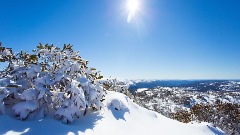 Snowy Mountains, NSW | Things to Do, Accommodation & More