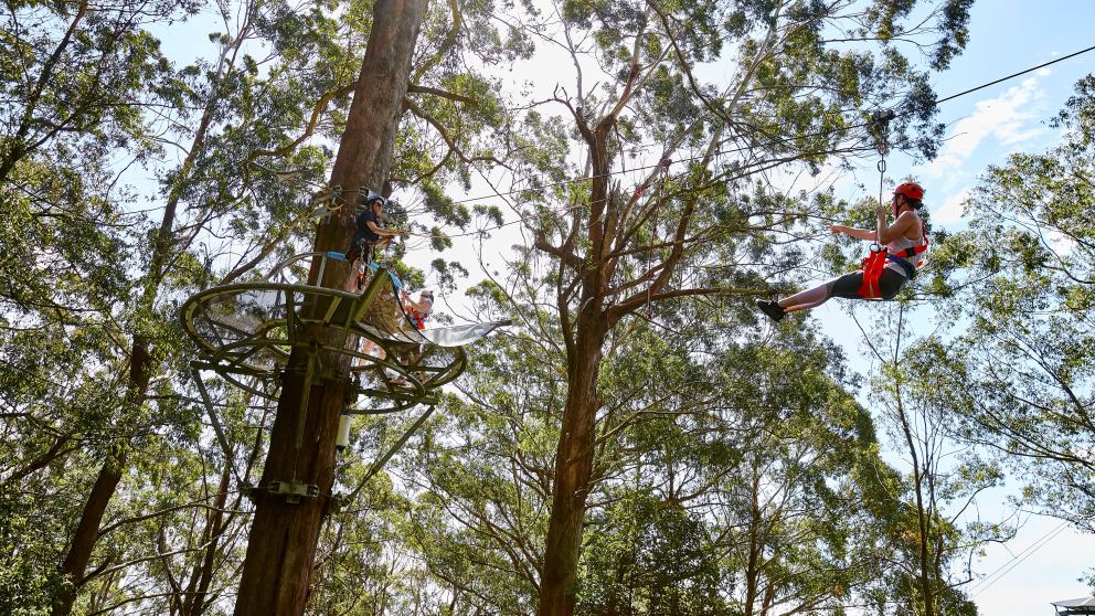 Visitors enjoying the Illawarra Fly Zipline Tour in Knights Hill, south of Wollongong