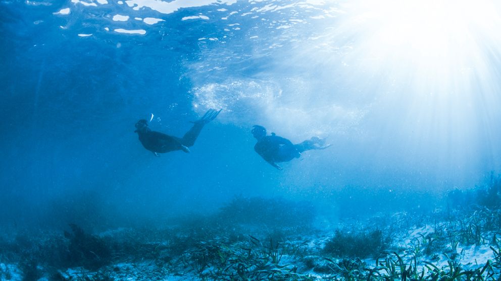 Shellharbour Diving & Snorkelling - South Coast NSW ...