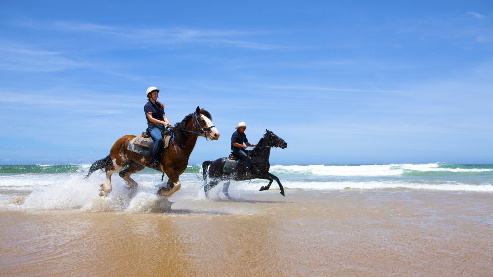Horse riding along a beach in Port Stephens, North Coast