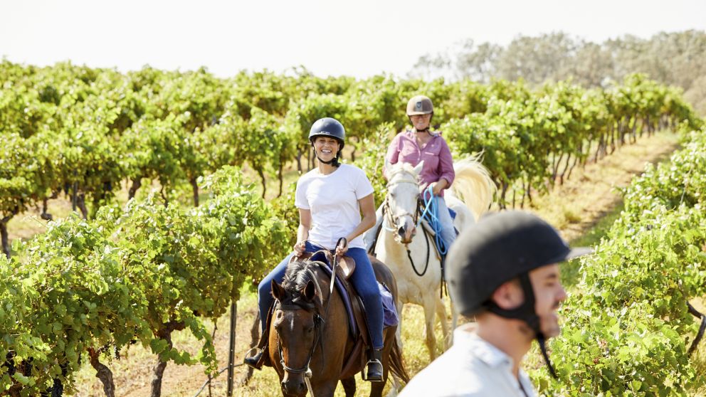 Murchessons Horseback Wine and Dine Tours - Pokolbin - Hunter Valley