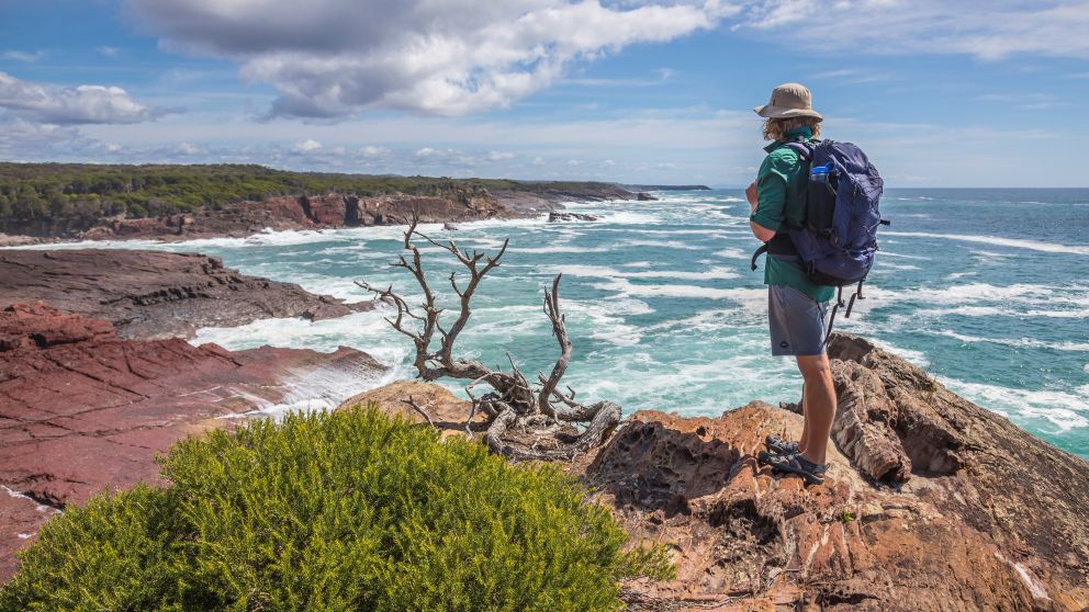 Man enjoying the scenic coastal views from Pulpit Rock in Ben Boyd National Park, Green Cape, Sapphire Coast