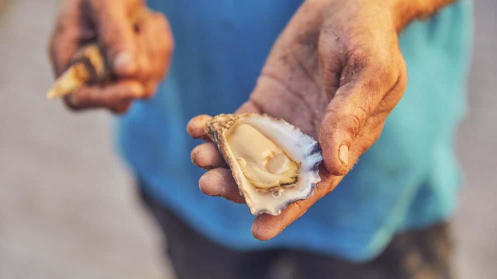 Farmer with a freshly opened oyster at Wray Street Oyster Shed in Batemans Bay, South Coast