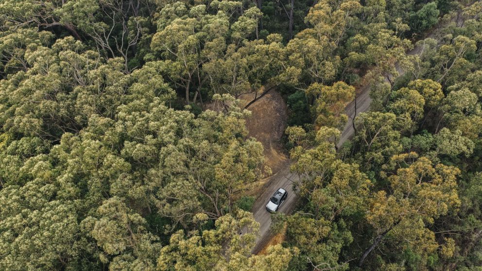 Car driving through the leafy Kangaroo Valley, Jervis Bay and Shoalhaven - Credit: Alexandra Adoncello
