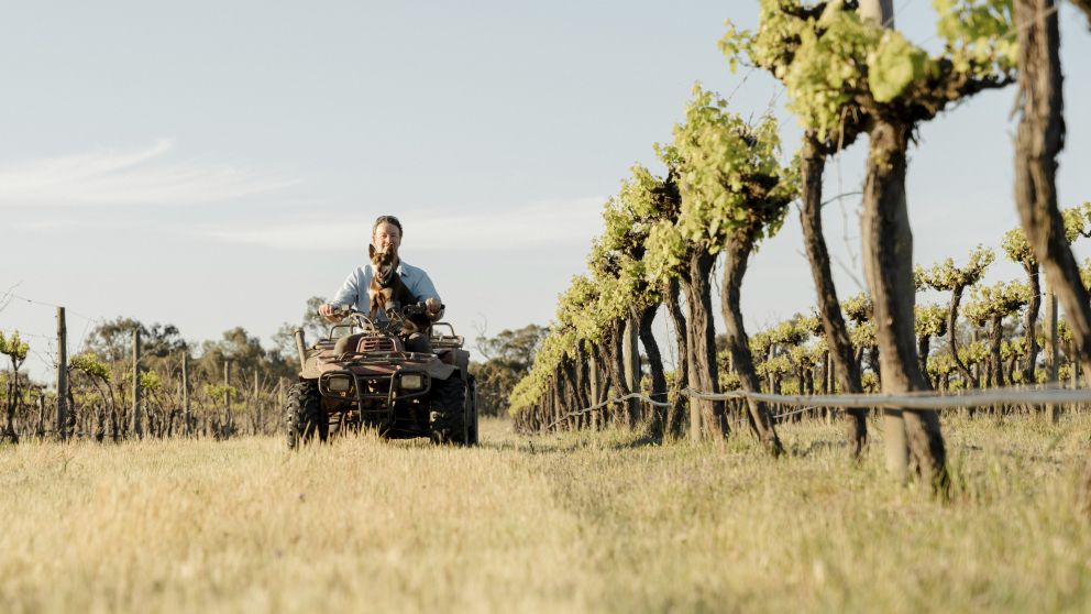 Winemaker and this wine dog on a tractor at Restdown Wines in Barham, The Murray