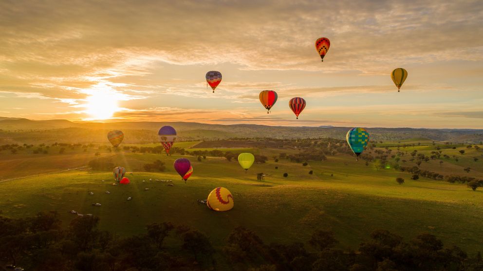 Hot air balloons launching at sunrise for the International Balloon Challenge in Canowindra, Orange Area, Country NSW 