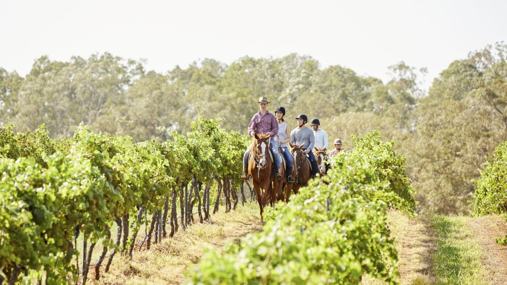 Group enjoying a guided horseback tour with Murchessons Horse Wine & Dine Tours at Hanging Tree Wines in Pokolbin, Hunter Valley