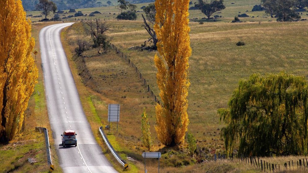 Car travelling in a country road between Berridale and Adaminaby in the Snowy Mountains