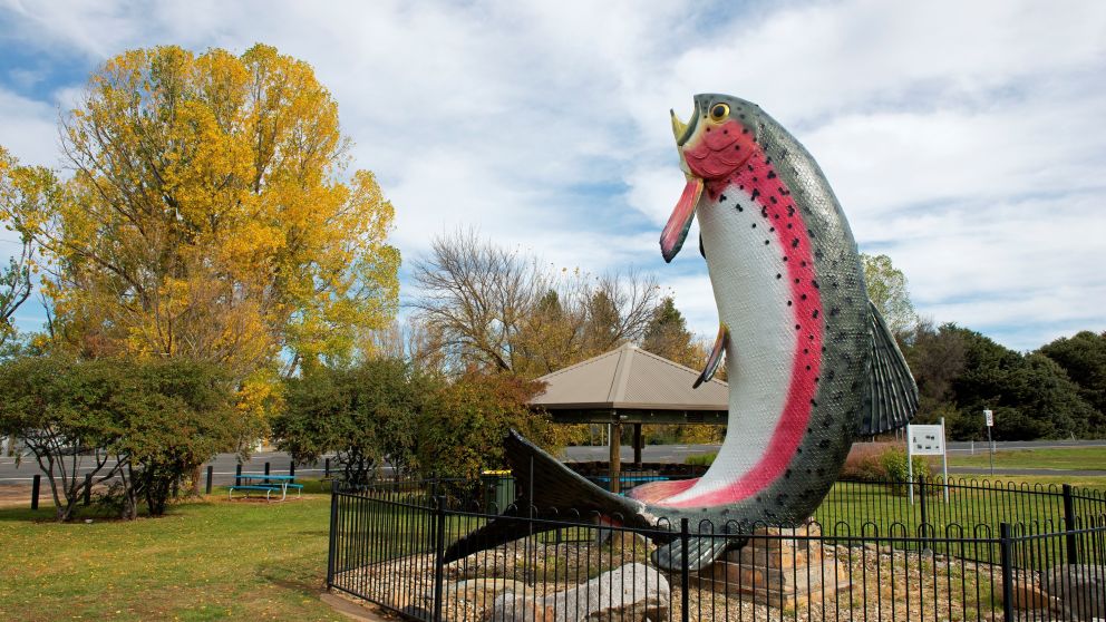 The 10-metre high Big Trout fibreglass structure in Adaminaby...Artist: Andy Lomnici, 1973