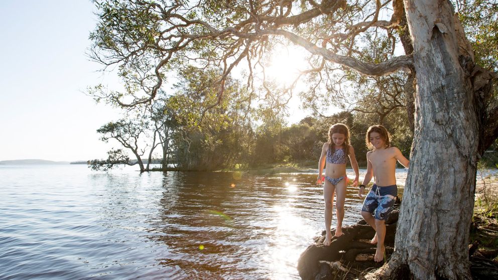 Children exploring the Lake at NRMA Myall Shores Holiday Park in Bulahdelah, Forster & Taree Area