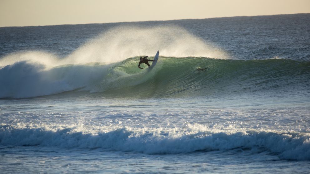 Surfer catches a morning wave at Duranbah Beach, Tweed Heads