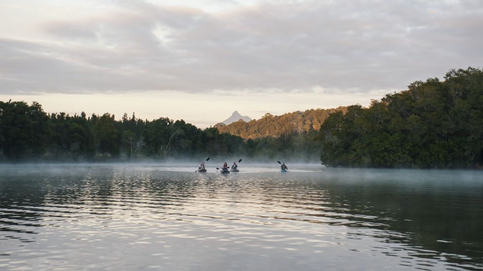 Friends enjoying an early morning kayak tour on Tweed River with scenic views of Mount Warning