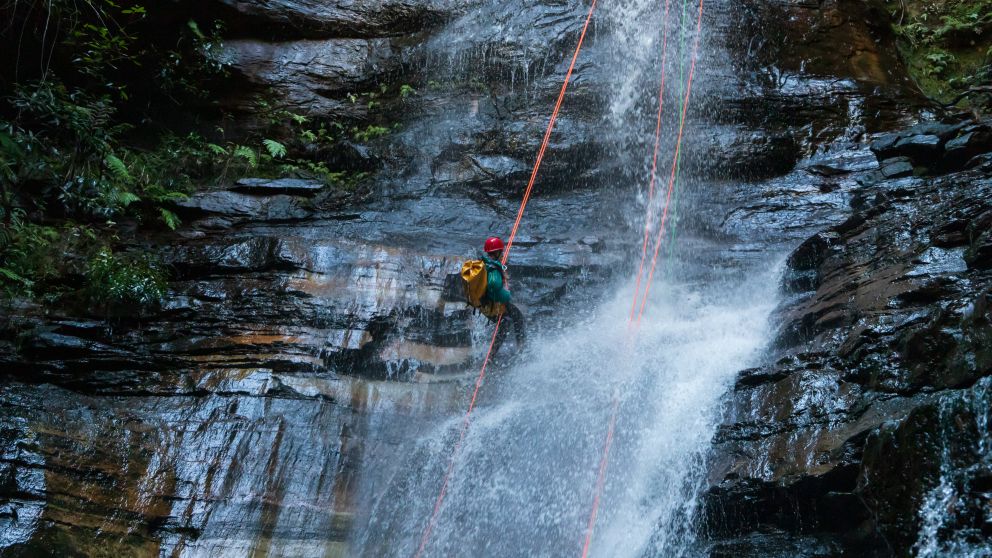 Abseiling in the Blue Mountains. Image credit: Dale Martin