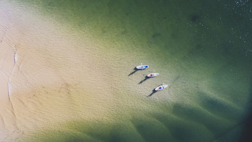 Aerial overlooking stand up paddleboarders on Wallis Lake