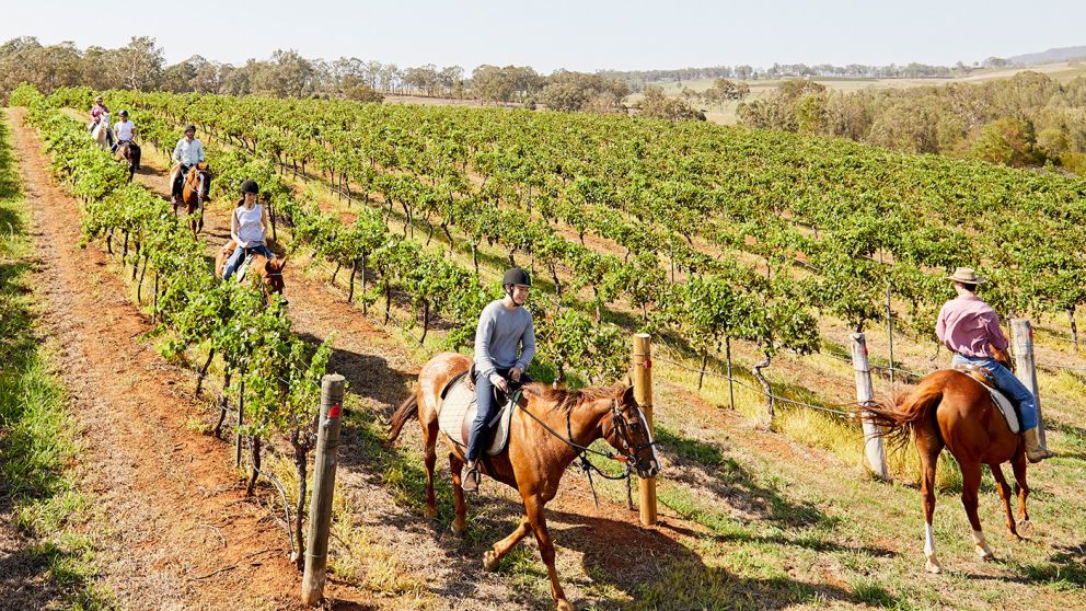 Murchessons Horseback Wine and Dine Tours - Hunter Valley