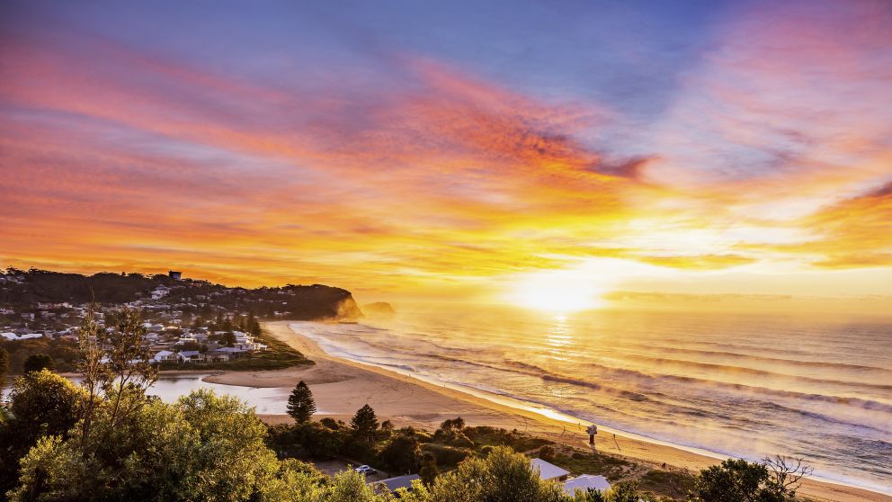 아보카 비치(Avoca Beach), 센트럴 코스트