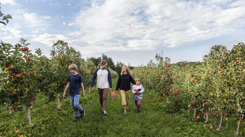Family enjoying a day of apple picking at Shields Orchard, Bilpin