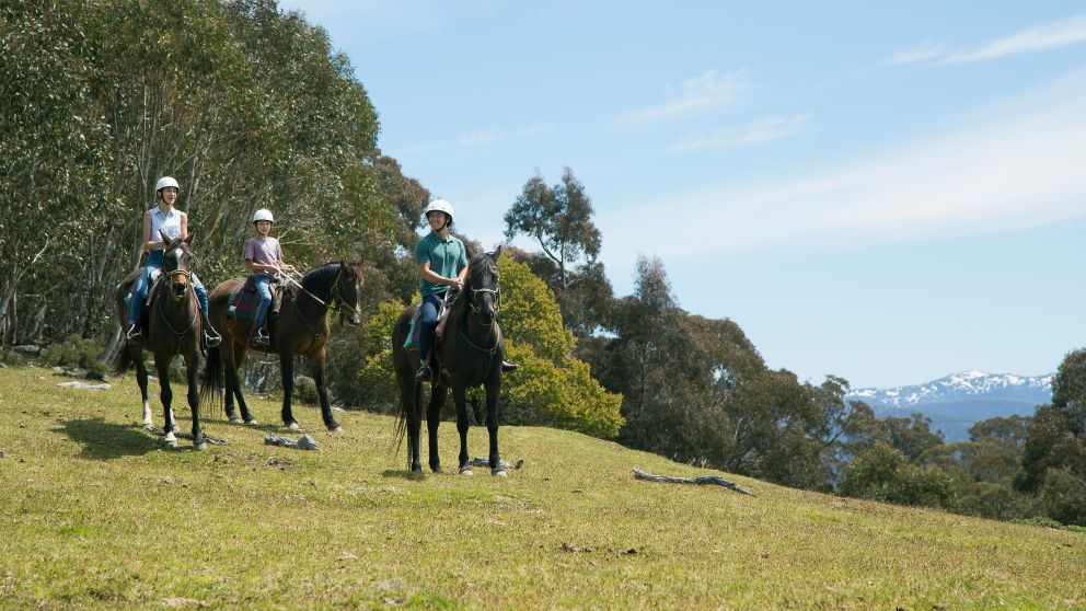 Family enjoying a scenic horse riding tour with Snowy Wilderness in Ingebirah, Snowy Mountains