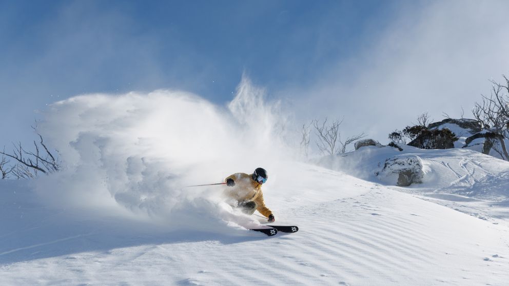 Skiing on a powder day, Thredbo - Credit: Thredbo Media