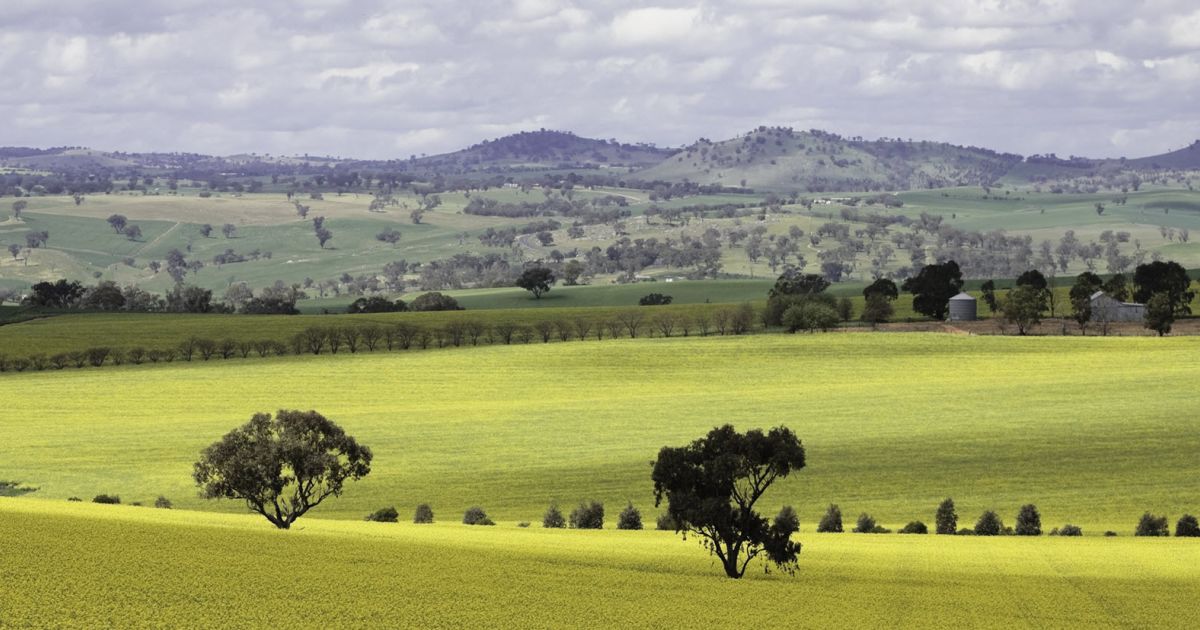 Harden and Murrumburrah Attractions & Events