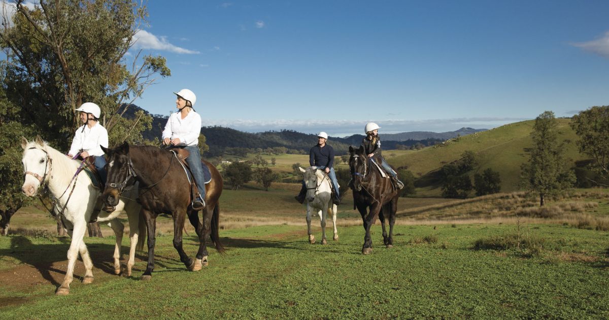 Horseriding Tours and Trail Rides in NSW