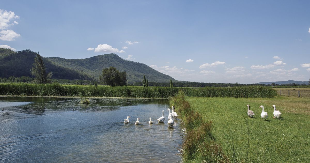 Broke Hunter Valley 2025 - Main Image