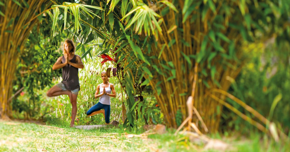 Nimbin NSW - Plan a Holiday - Accommodation, Tours & Things To Do