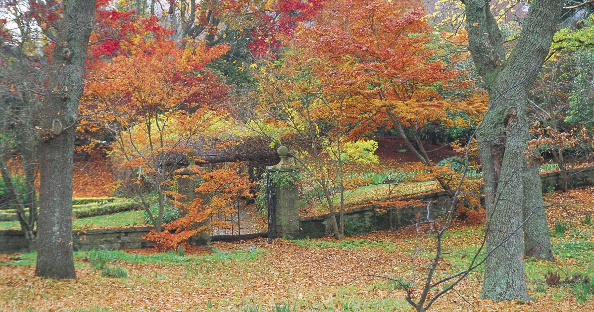 Moss Vale NSW Plan a Holiday Visit NSW