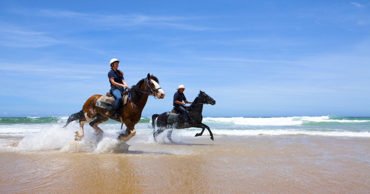 Horse Riding in NSW Holidays, Tours & Experiences