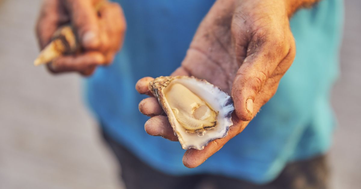 Batemans Bay & Eurobodalla Food & Produce Farmers Markets