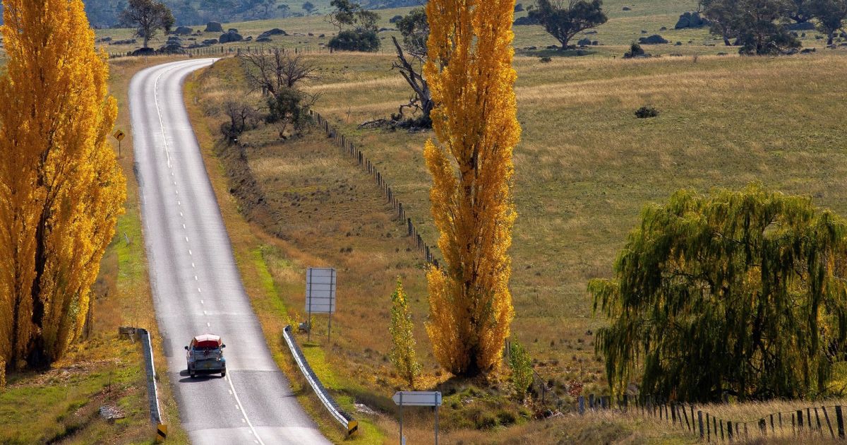 Berridale things to do & more Visit NSW