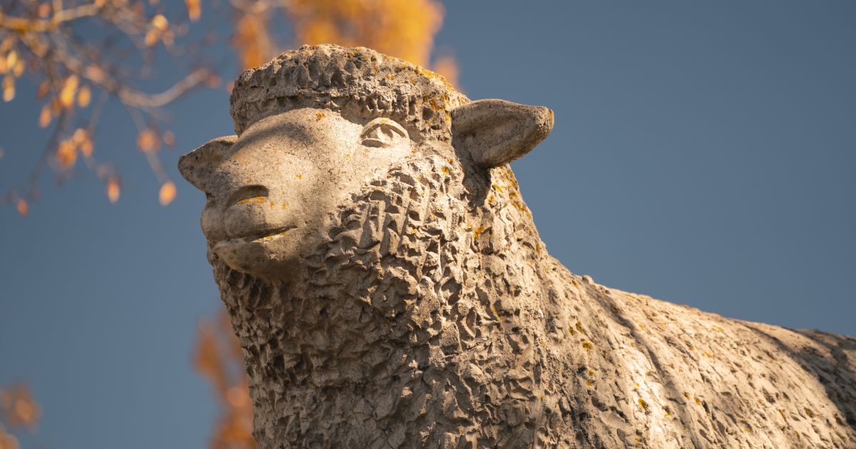 Guyra, Armidale & surrounds Outdoor adventure, local produce & more