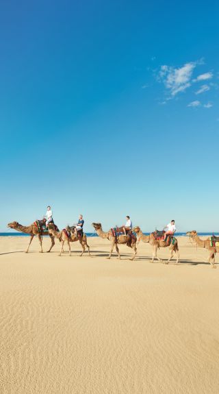 Abenteuerliche Kamelritte in den Stockton Sand Dunes, Port Stephens.