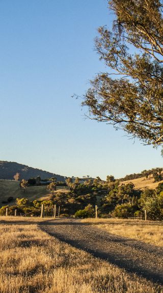Kosciuszko National Park, Tumut
