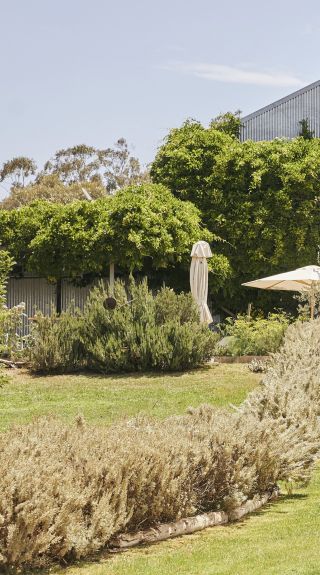 Couple enjoying a visit to Lowe Wines, Mudgee, Country NSW