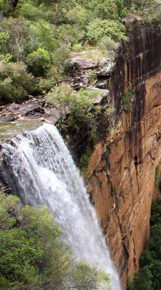 Fitzroy Falls - Image Credit: John Yurasek - DPIE