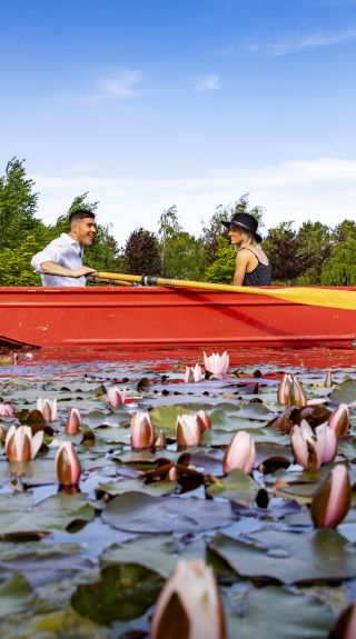 Blue to Orange - Mayfield Garden - Oberon - Blue Mountains