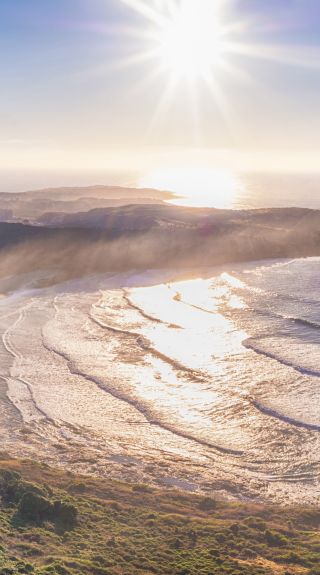 The Farm, Killalea State Park