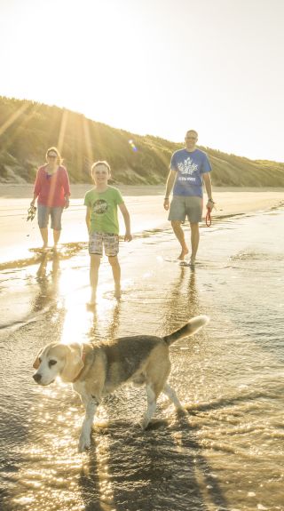 Family enjoying an evening walk with their pet dog along Currarong Beach, Currarong