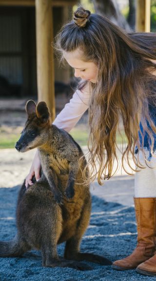 Billabong Zoo - Koala and Wildlife Park - Port Macquarie